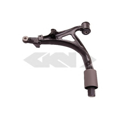 Photo Track Control Arm SPIDAN 45689