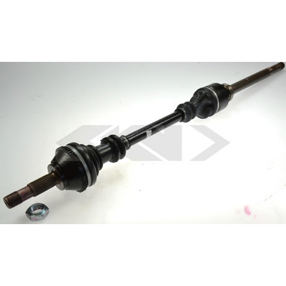 Photo Drive Shaft SPIDAN 20943