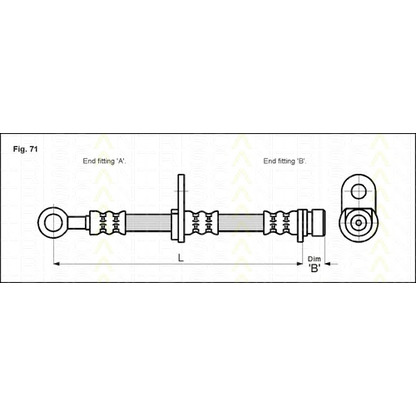 Photo Brake Hose TRISCAN 815010110