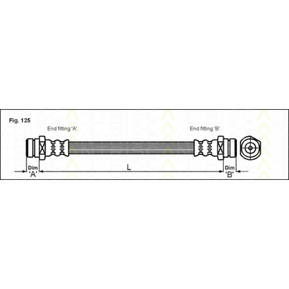 Foto Tubo flexible de frenos TRISCAN 815010205