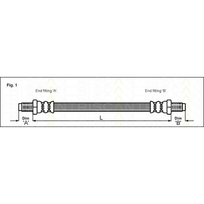 Photo Brake Hose TRISCAN 815013106