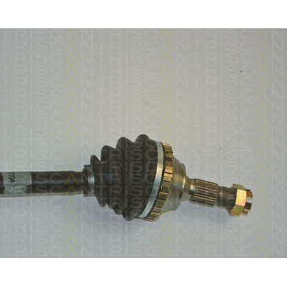 Photo Drive Shaft TRISCAN 854038565