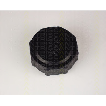 Photo Cap, radiator TRISCAN 861011