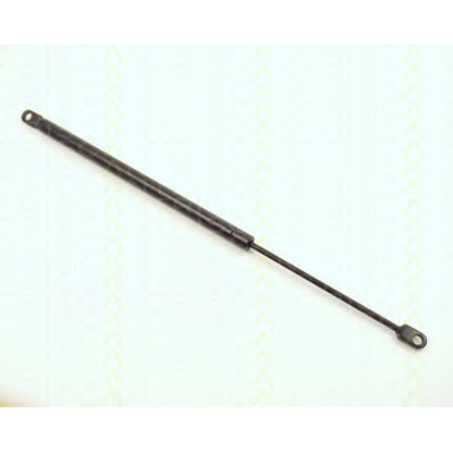 Photo Gas Spring, bonnet TRISCAN 87101102