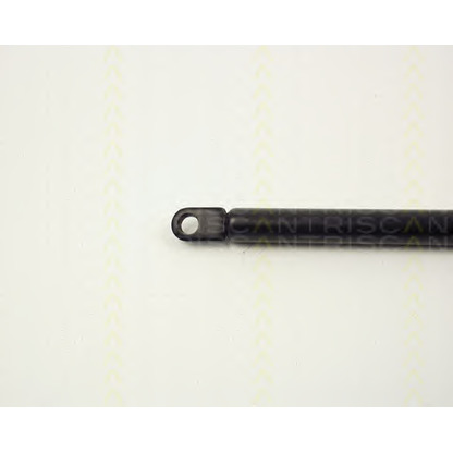 Photo Gas Spring, bonnet TRISCAN 87101102