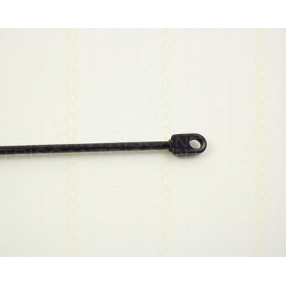 Photo Gas Spring, bonnet TRISCAN 87101102