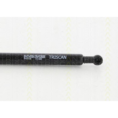 Photo Gas Spring, bonnet TRISCAN 871011120