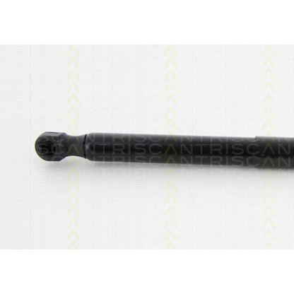 Photo Gas Spring, bonnet TRISCAN 871011125