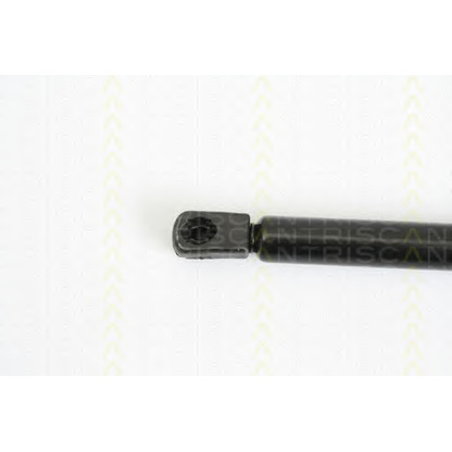 Photo Gas Spring, bonnet TRISCAN 871012104