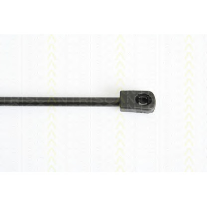 Photo Gas Spring, bonnet TRISCAN 871012104