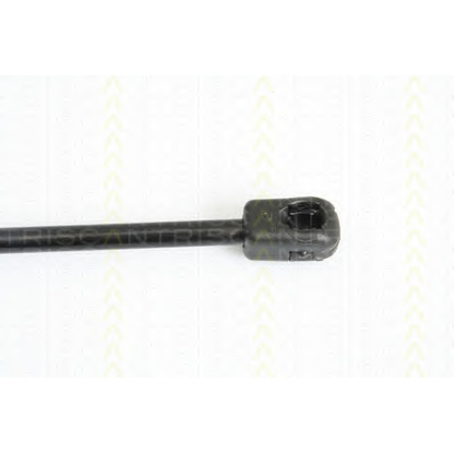 Photo Gas Spring, bonnet TRISCAN 871012105