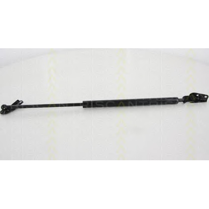 Photo Gas Spring, boot-/cargo area TRISCAN 871013214