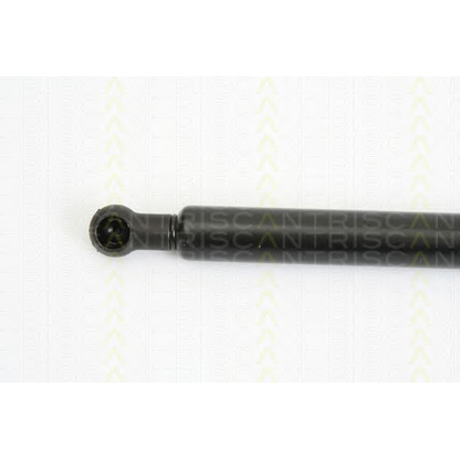 Photo Gas Spring, boot-/cargo area TRISCAN 871013273