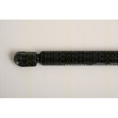 Photo Gas Spring, boot-/cargo area TRISCAN 871016253