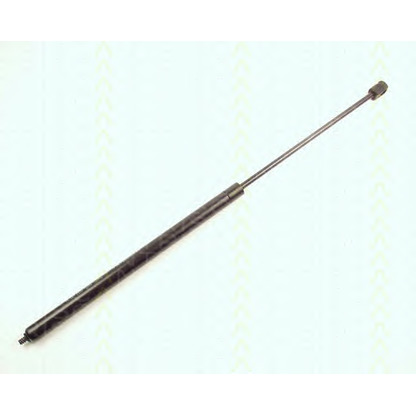 Photo Gas Spring, bonnet TRISCAN 871023104