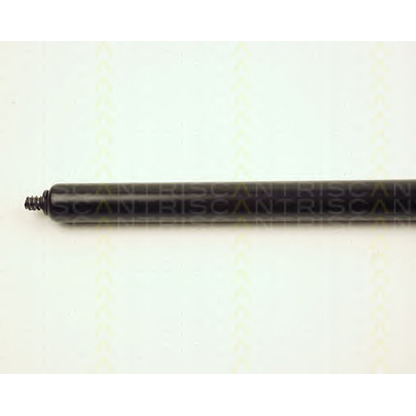 Photo Gas Spring, bonnet TRISCAN 871023104