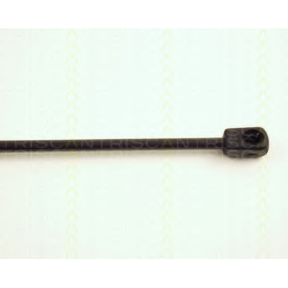 Photo Gas Spring, bonnet TRISCAN 871023104