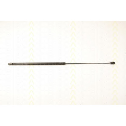 Photo Gas Spring, bonnet TRISCAN 871023113