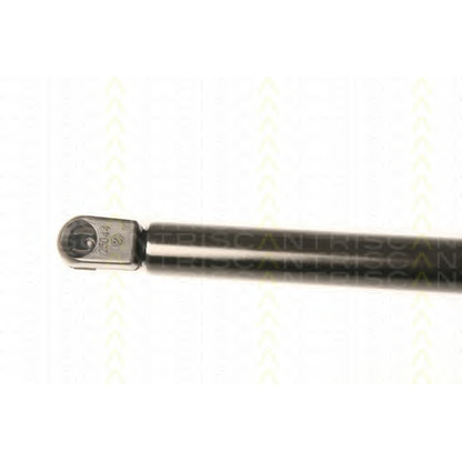 Photo Gas Spring, bonnet TRISCAN 871023113