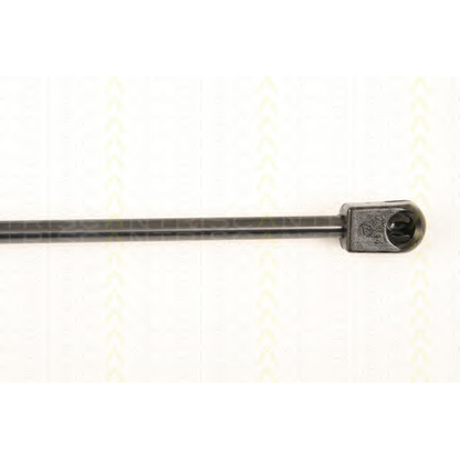 Photo Gas Spring, bonnet TRISCAN 871023114