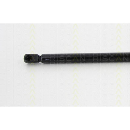 Photo Gas Spring, boot-/cargo area TRISCAN 871024241