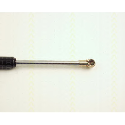 Photo Gas Spring, bonnet TRISCAN 871025101