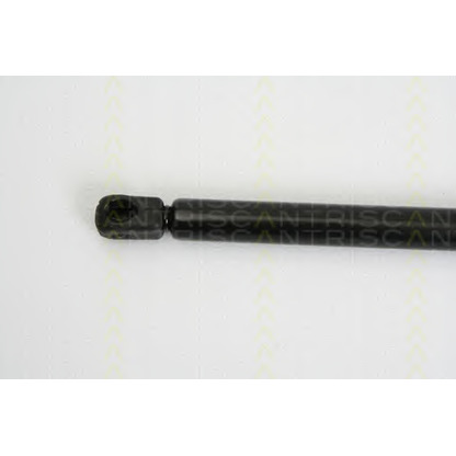 Photo Gas Spring, boot-/cargo area TRISCAN 871025237