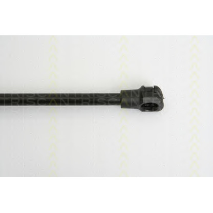 Photo Gas Spring, rear windscreen TRISCAN 871028235