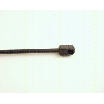 Photo Gas Spring, bonnet TRISCAN 871029111