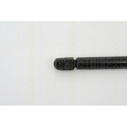 Photo Gas Spring, bonnet TRISCAN 871029123