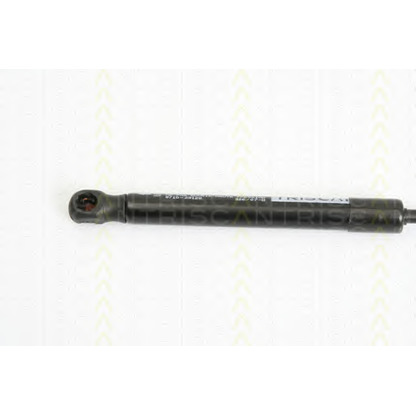 Photo Gas Spring, bonnet TRISCAN 871029128