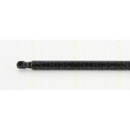 Photo Gas Spring, boot-/cargo area TRISCAN 8710292103