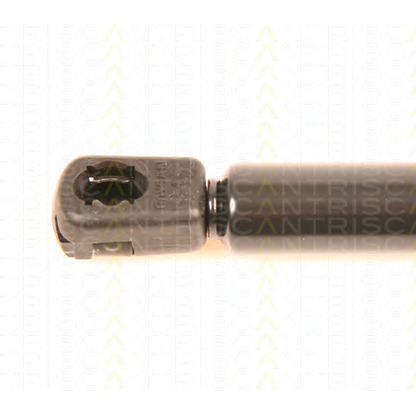 Photo Gas Spring, boot-/cargo area TRISCAN 871029252