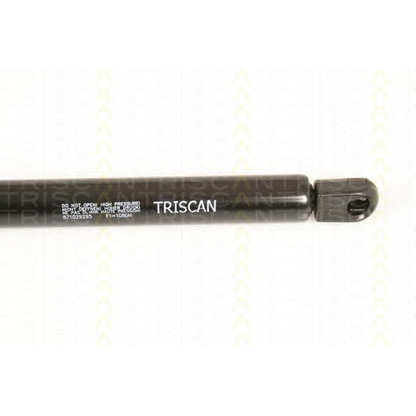 Photo Gas Spring, boot-/cargo area TRISCAN 871029295