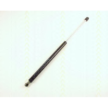 Photo Gas Spring, bonnet TRISCAN 871038101