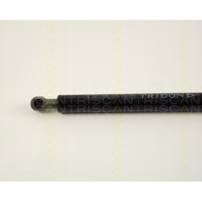 Photo Gas Spring, bonnet TRISCAN 871038101