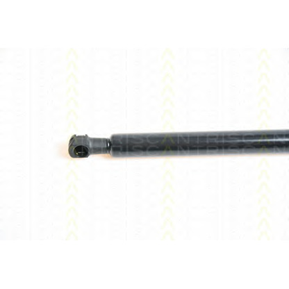 Photo Gas Spring, bonnet TRISCAN 871038103