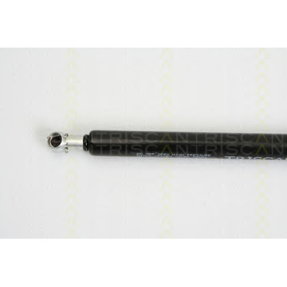 Photo Gas Spring, boot-/cargo area TRISCAN 871038224