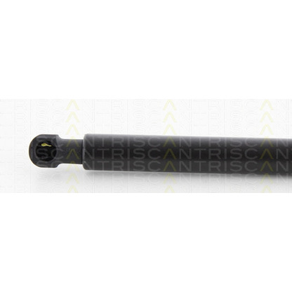 Photo Gas Spring, boot-/cargo area TRISCAN 871038229