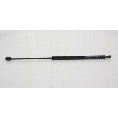 Photo Gas Spring, boot-/cargo area TRISCAN 871043237