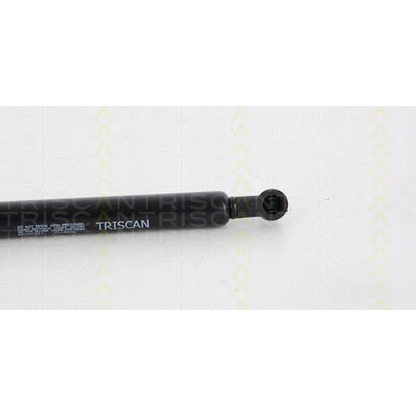 Photo Gas Spring, boot-/cargo area TRISCAN 871043237