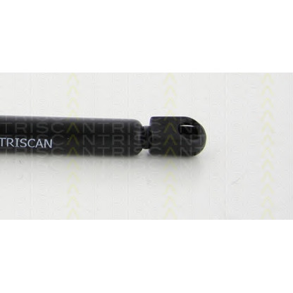 Photo Gas Spring, bonnet TRISCAN 871044101