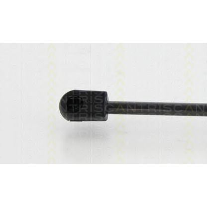 Photo Gas Spring, bonnet TRISCAN 871044101