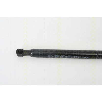 Photo Gas Spring, boot-/cargo area TRISCAN 871065209