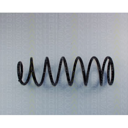 Photo Coil Spring TRISCAN 87501650