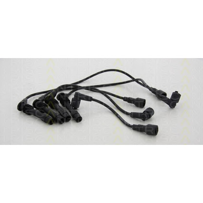 Photo Ignition Cable Kit TRISCAN 886024020