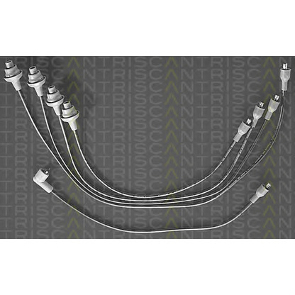 Foto Juego de cables de encendido TRISCAN 88603379