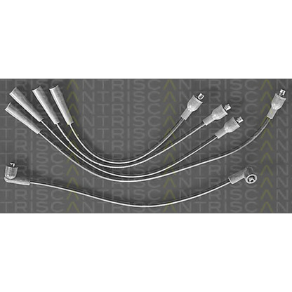 Foto Juego de cables de encendido TRISCAN 88604004