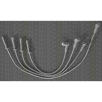 Foto Juego de cables de encendido TRISCAN 88604333