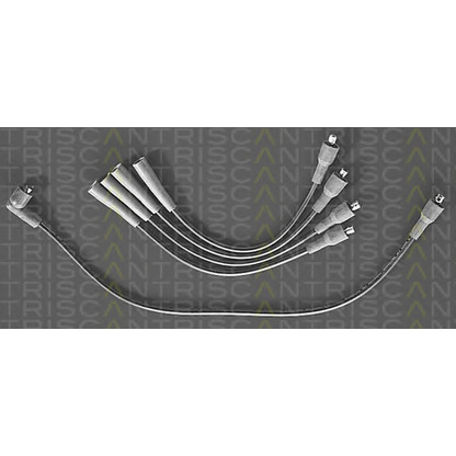 Foto Juego de cables de encendido TRISCAN 88604404